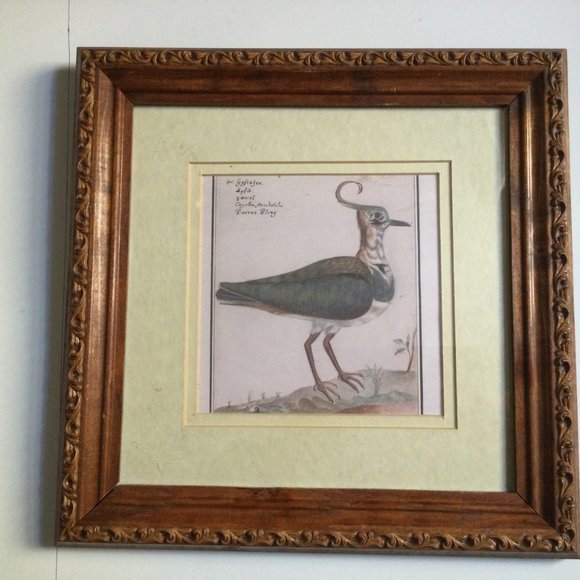 Wall decor framed print bird home decor 28.5cm x 28.5cm wood frame - Picture 3 of 5